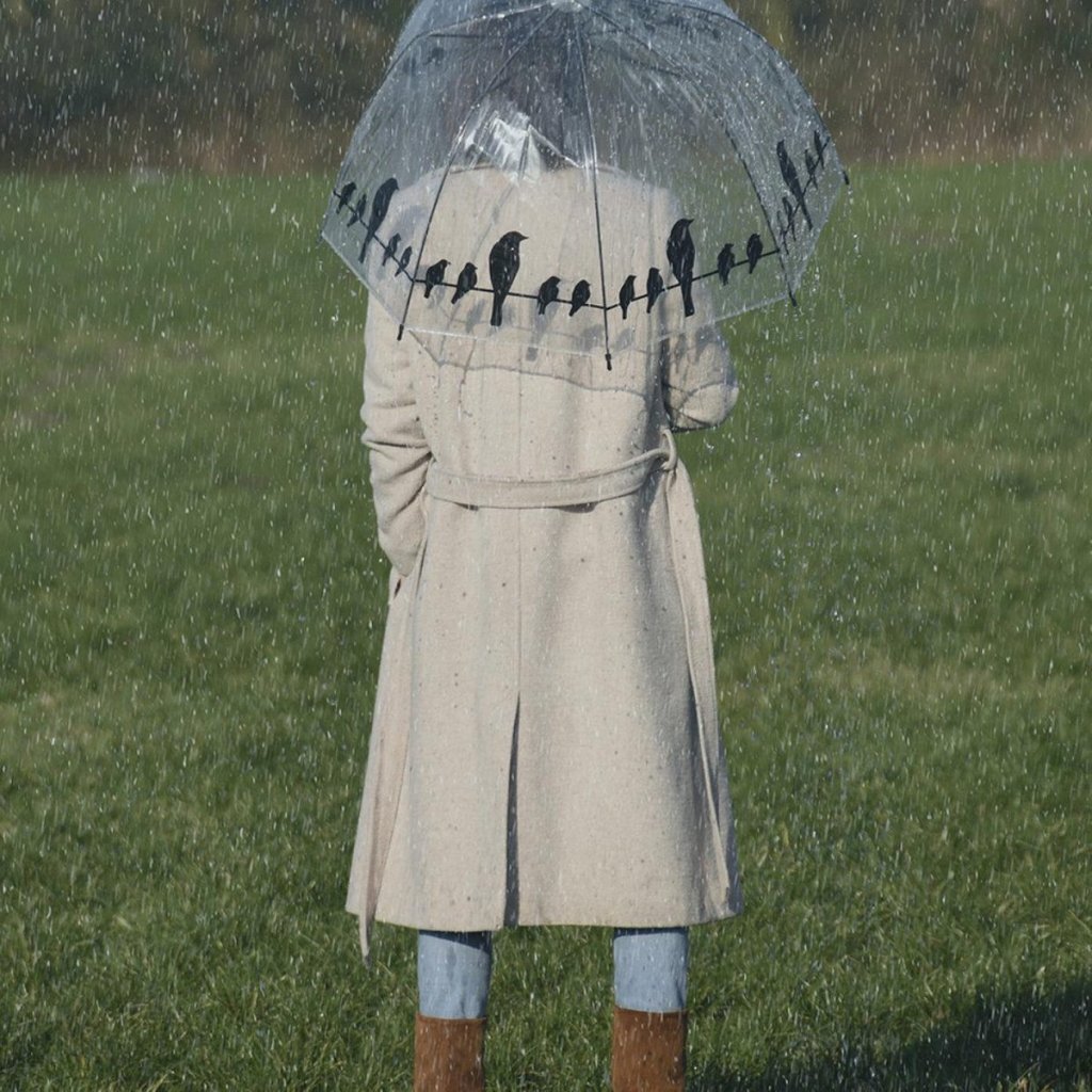 Esschert Design paraplu vogels op draad 83 cm transparant zwart