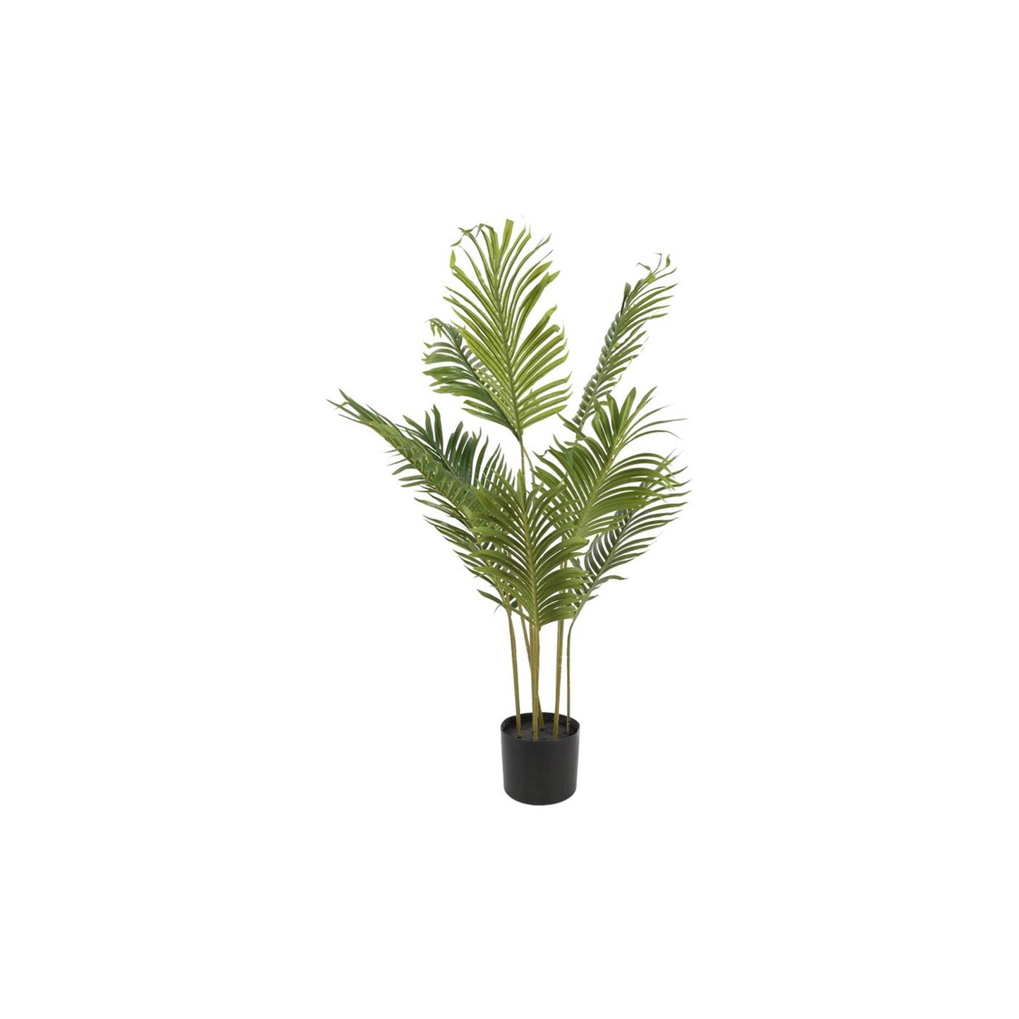 Countryfield Kunstplant kentia m groen h100cm