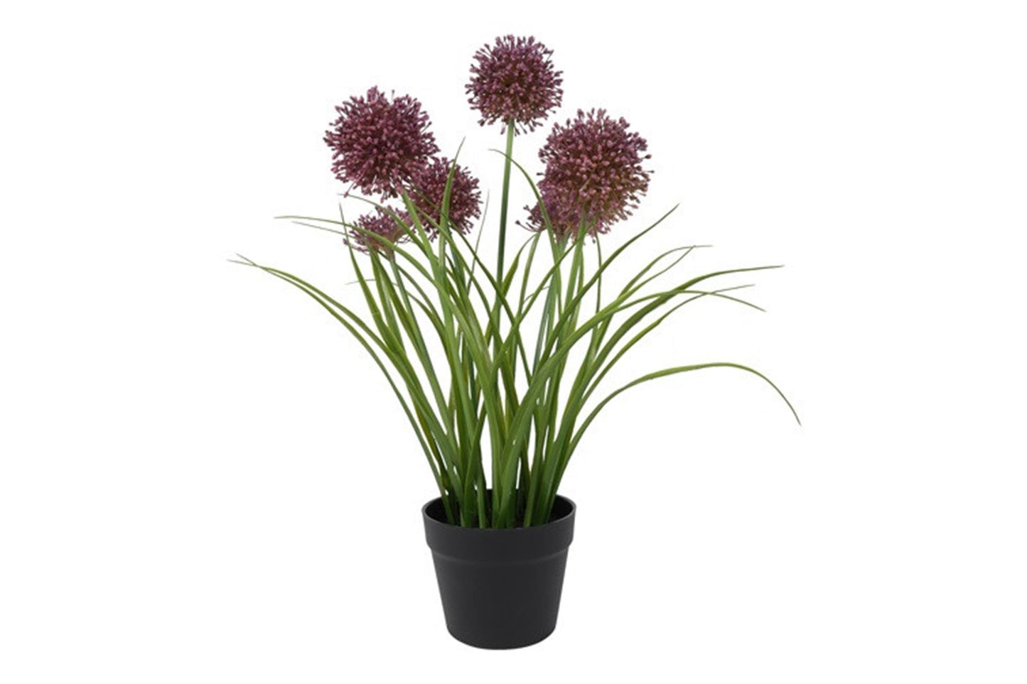 Countryfield kunstplant allium h60cm