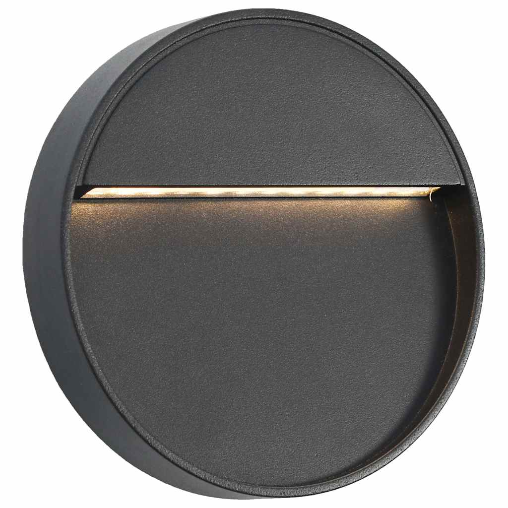 VidaXL Led-buitenwandlampen 2 st 3 w rond zwart
