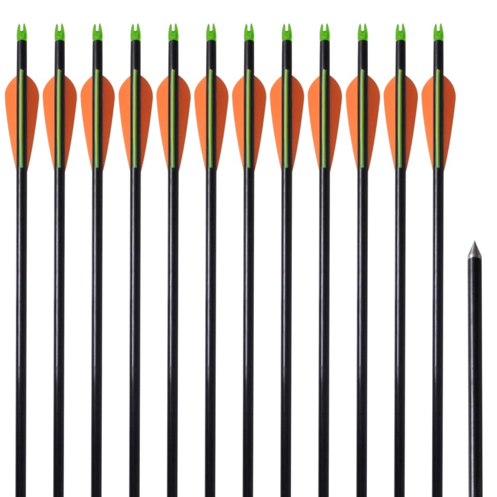 VidaXL Pijlen compoundboog standaard 30 0,8 cm glasvezel 12 stuks