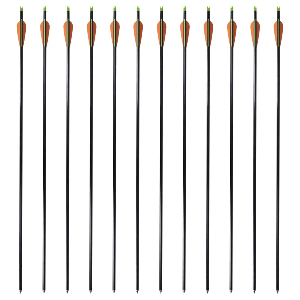 VidaXL Pijlen compoundboog standaard 30 0,8 cm glasvezel 12 stuks