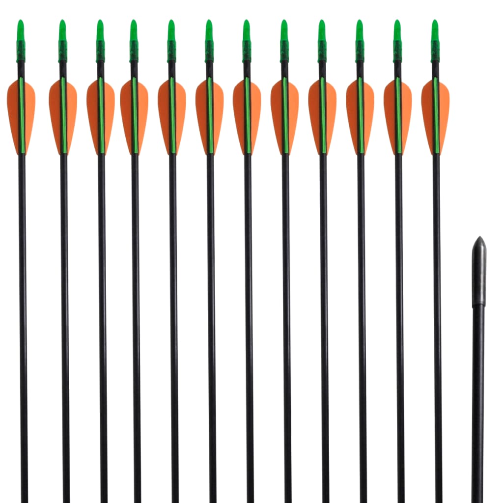 VidaXL Recurveboog standaard met pijlen 30 0,6 cm glasvezel 12 stuks