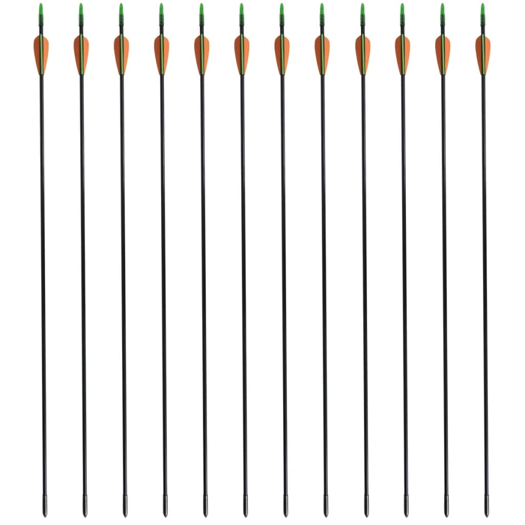VidaXL Recurveboog standaard met pijlen 30 0,6 cm glasvezel 12 stuks