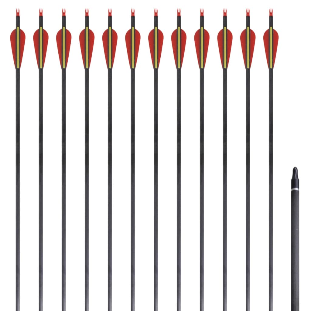 VidaXL Pijlen voor recurveboog standaard 30 0,76 cm koolstof 12 stuks