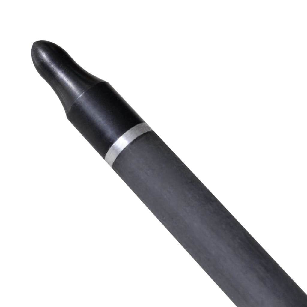 VidaXL Pijlen voor recurveboog standaard 30 0,76 cm koolstof 12 stuks