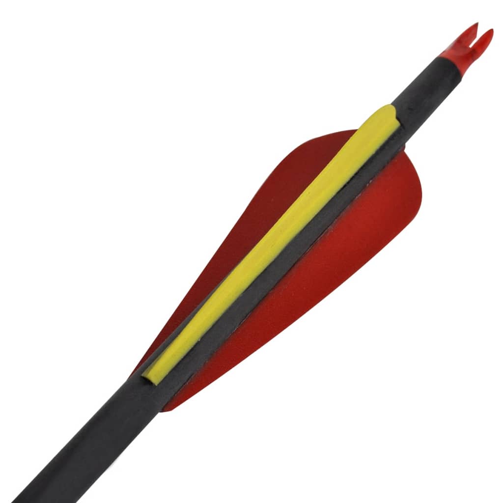 VidaXL Pijlen voor recurveboog standaard 30 0,76 cm koolstof 12 stuks
