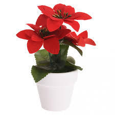 Overige Merken Kerstplant rood pot keramiek