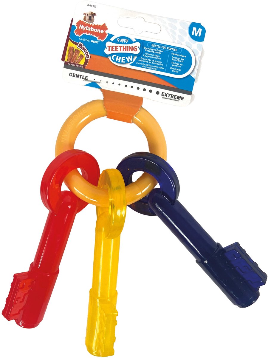 Flexi Nylabone puppy chew bijtsleutels baconsmaak