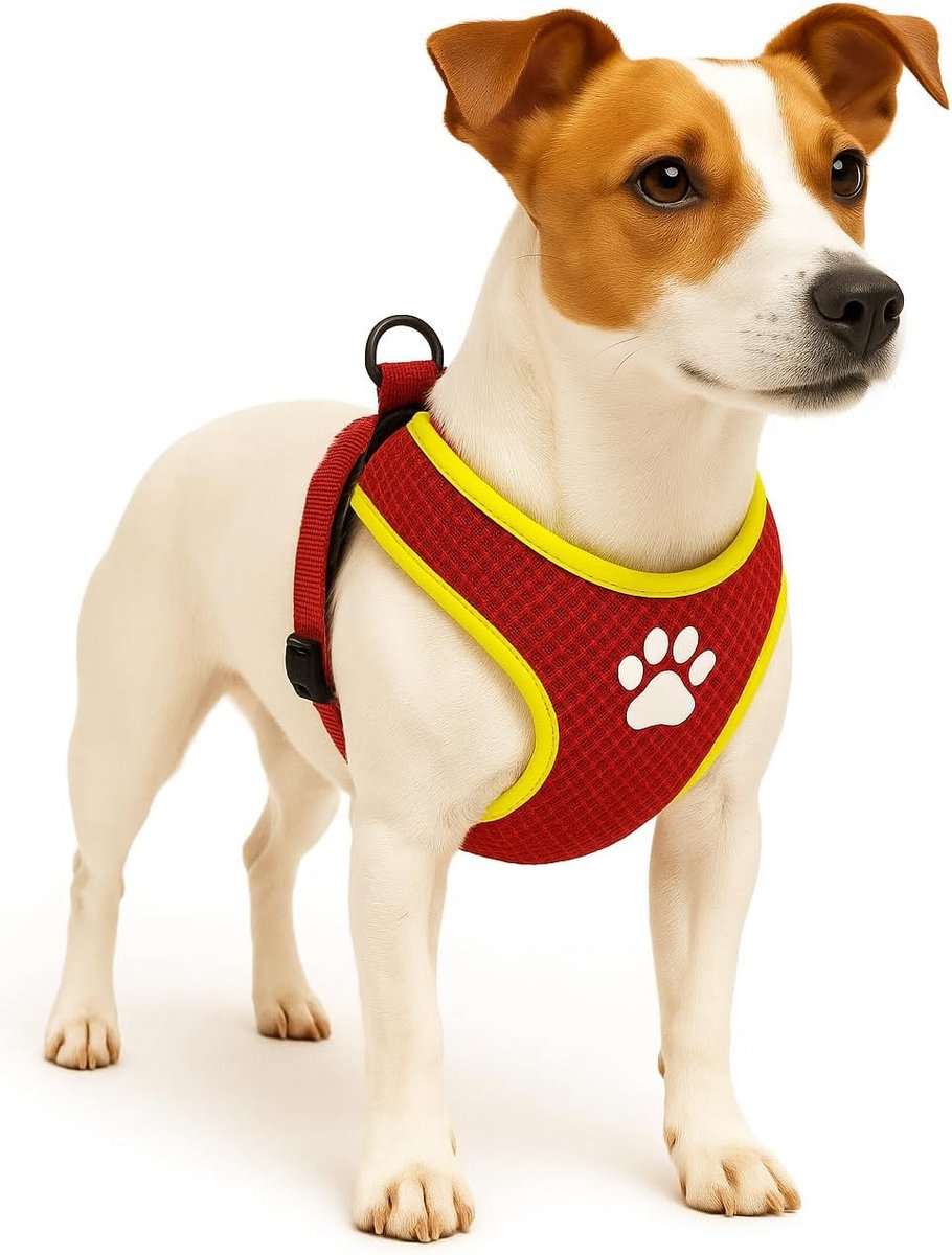 Flamingo Harnas hond – honden tuigje – harnas hond anti trek – hondentuigjes – hondentuig anti trek – step go tasha – rood – maat s – a:46cm b:55-65cm x 12mm x 5mm