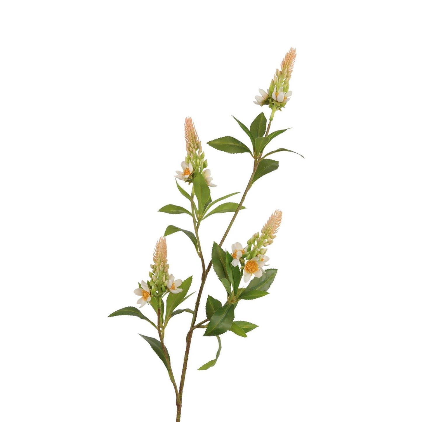 Roberts Collection Kunsttak pachystachys crème roze 95cm