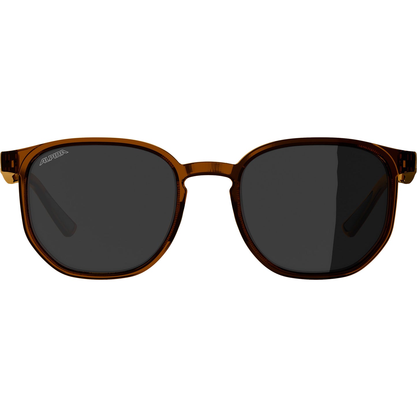 Olympic Sportswear Alpina sports lifestyle bril dimont bruine lens bruin