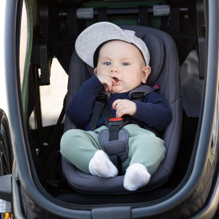 HAMAX Baby insert (outback avenida traveller)