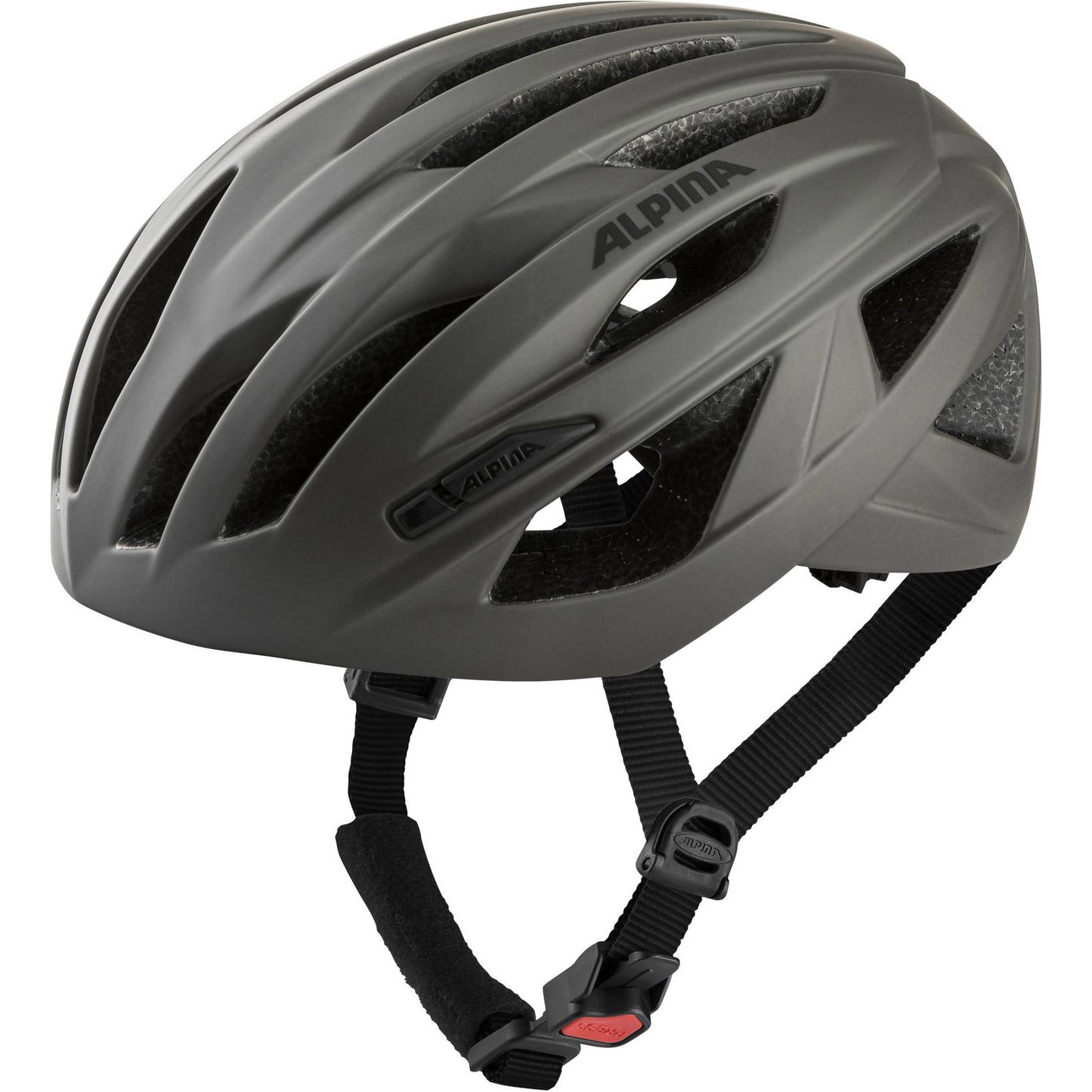 Alpina sports race helm path 55-59 mat grijs
