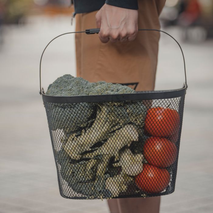 TOPEAK Urban basket - 15 l - front