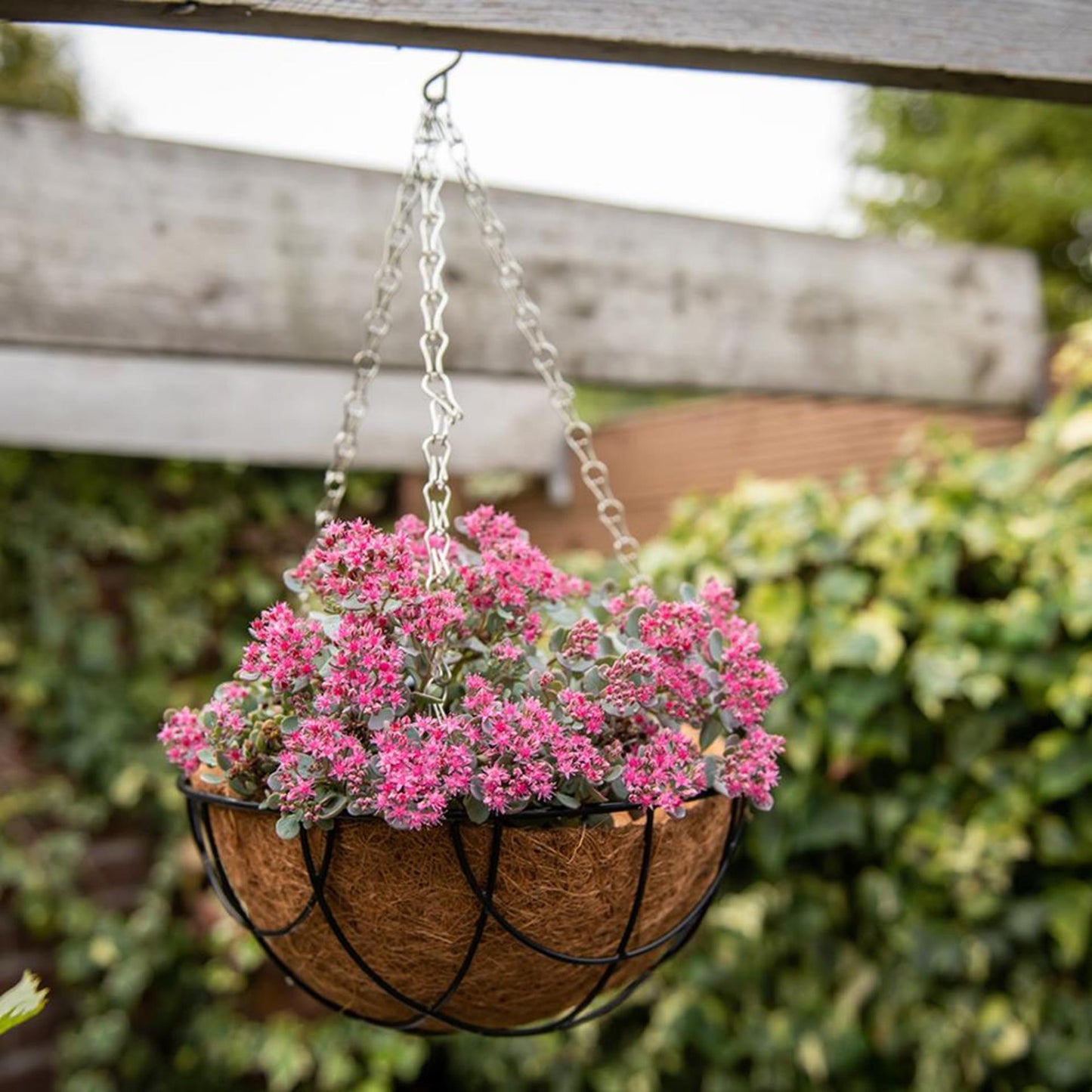 Esschert Design kokosinzet 30cm