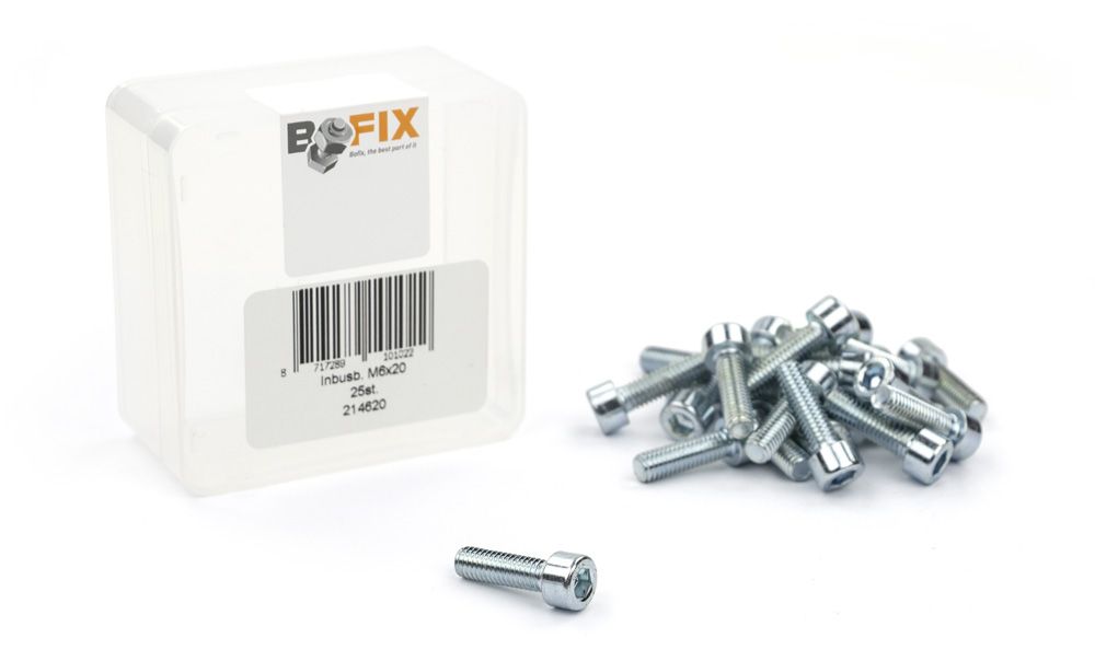 Bofix Bout xtrabike inbus m6x20 staal