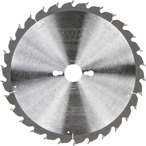DeWalt Accessoires cirkelzaagbl. s40 250x30x30t - dt4226-qz