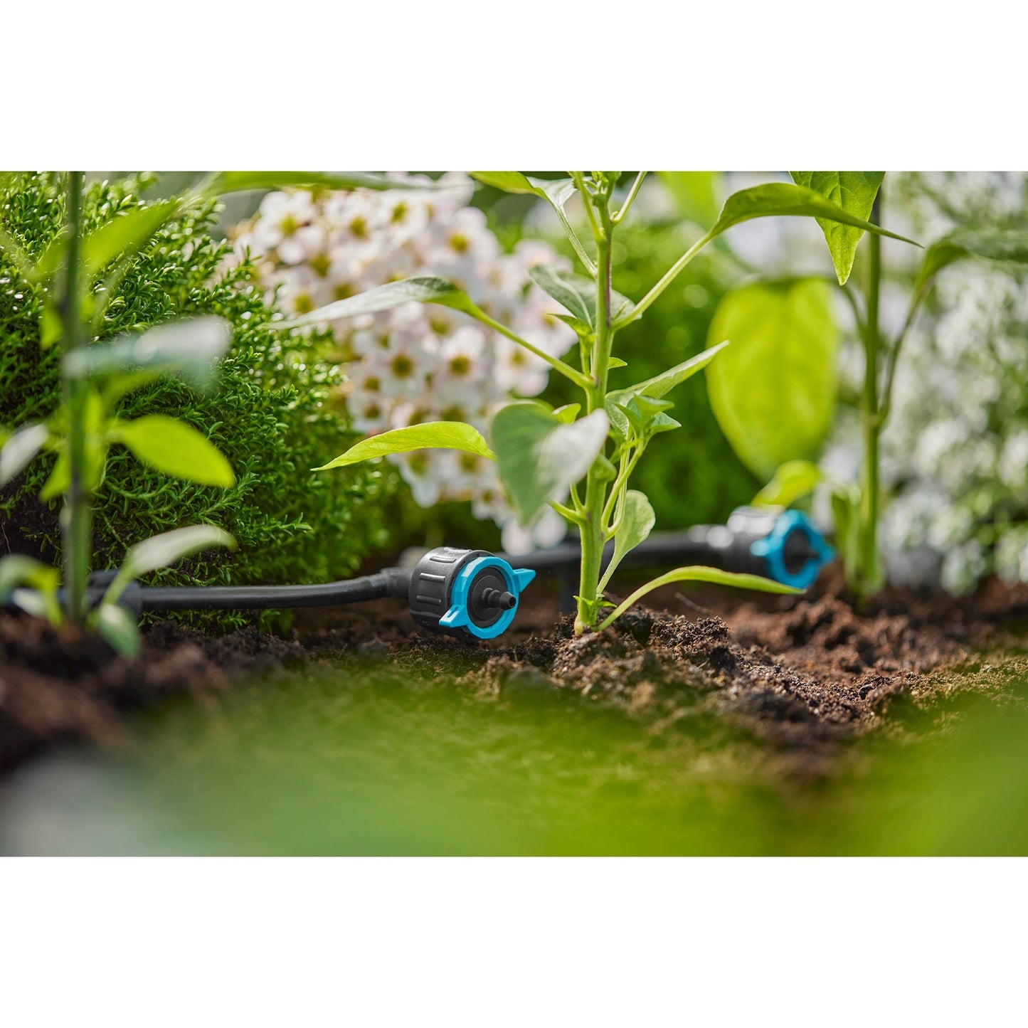GARDENA verstelbare seriedruppelaar 1-8 l u, drukcompenserend druppelaar (zwart turquoise)