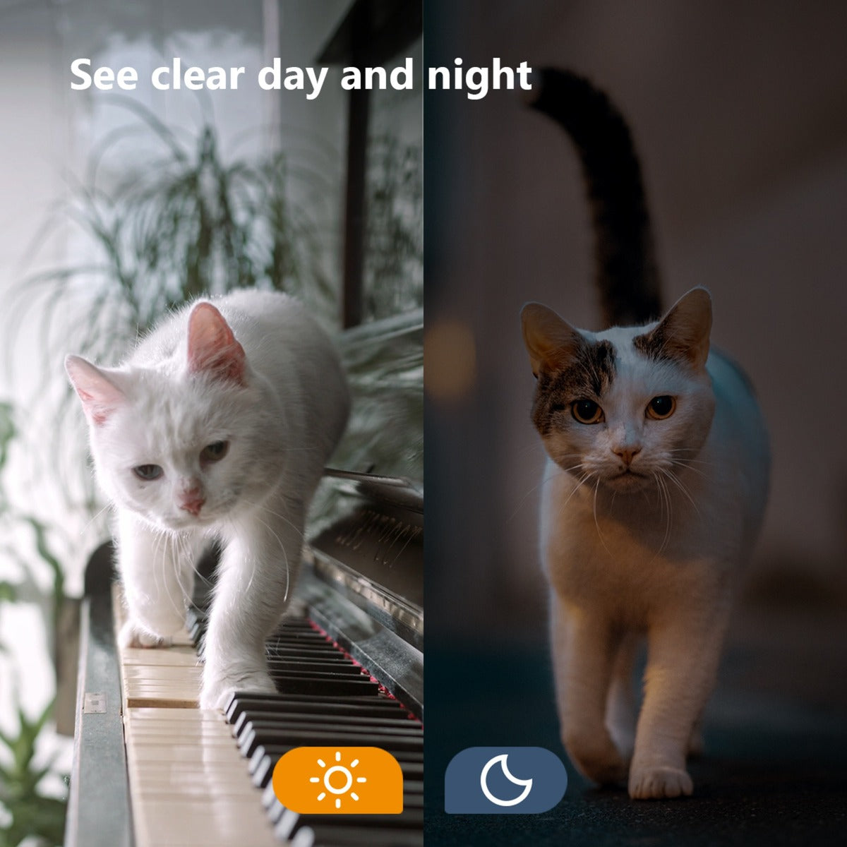 Imou Versa beveiligingscamera (Smart Color Night Vison | IP65 weerbestendig | 110dB sirene)