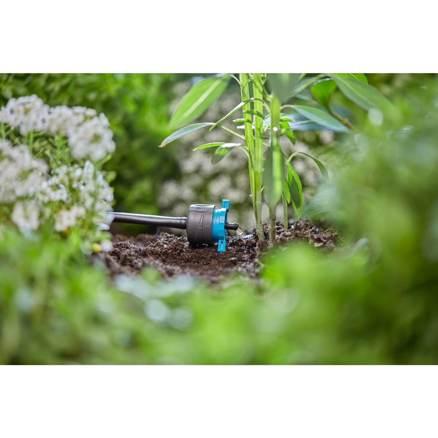 GARDENA verstelbare einddruppelaar, drukcompenserend. druppelaar (zwart turquoise, 5 stuks)
