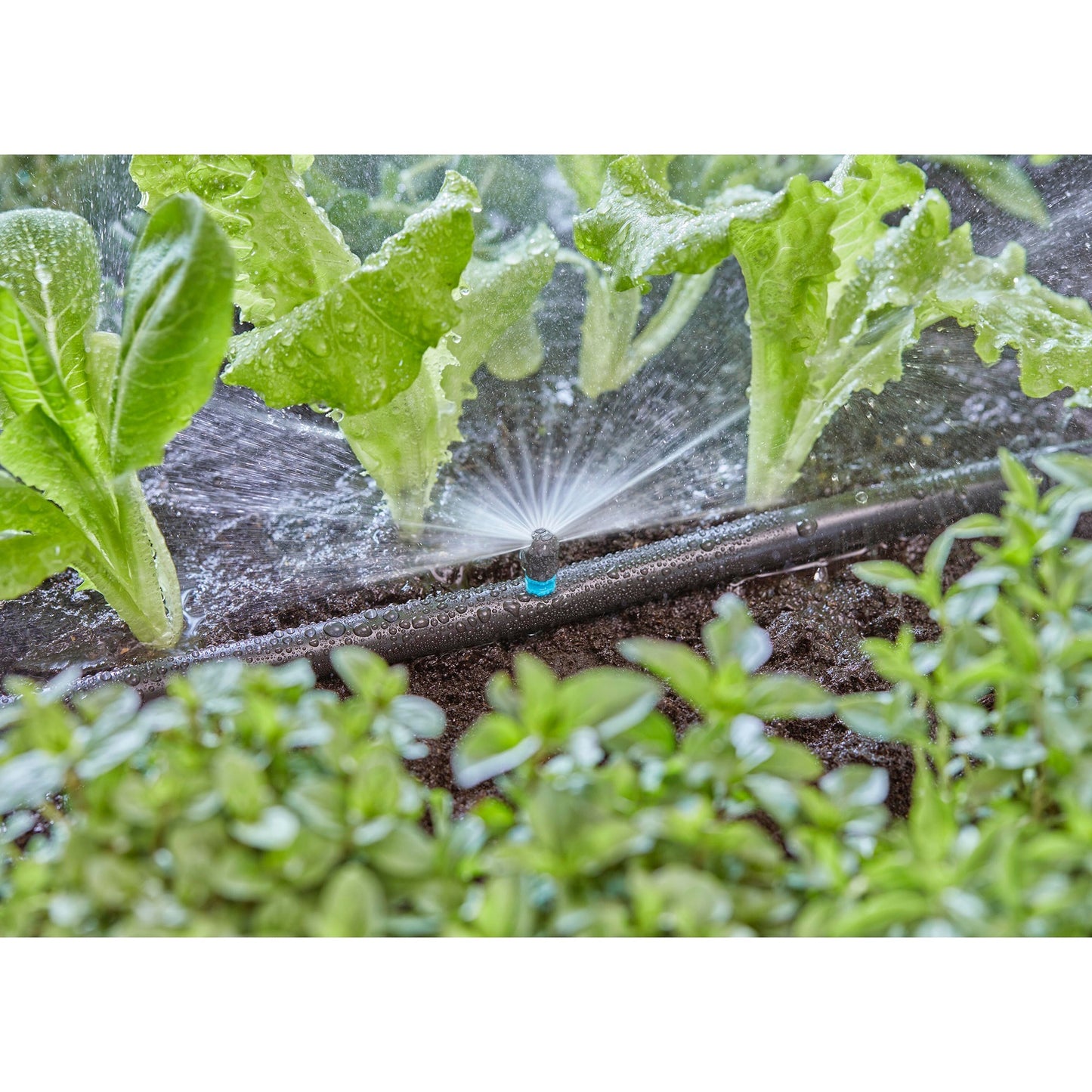 GARDENA sproeier 180° (zwart turquoise, 5 stuks)