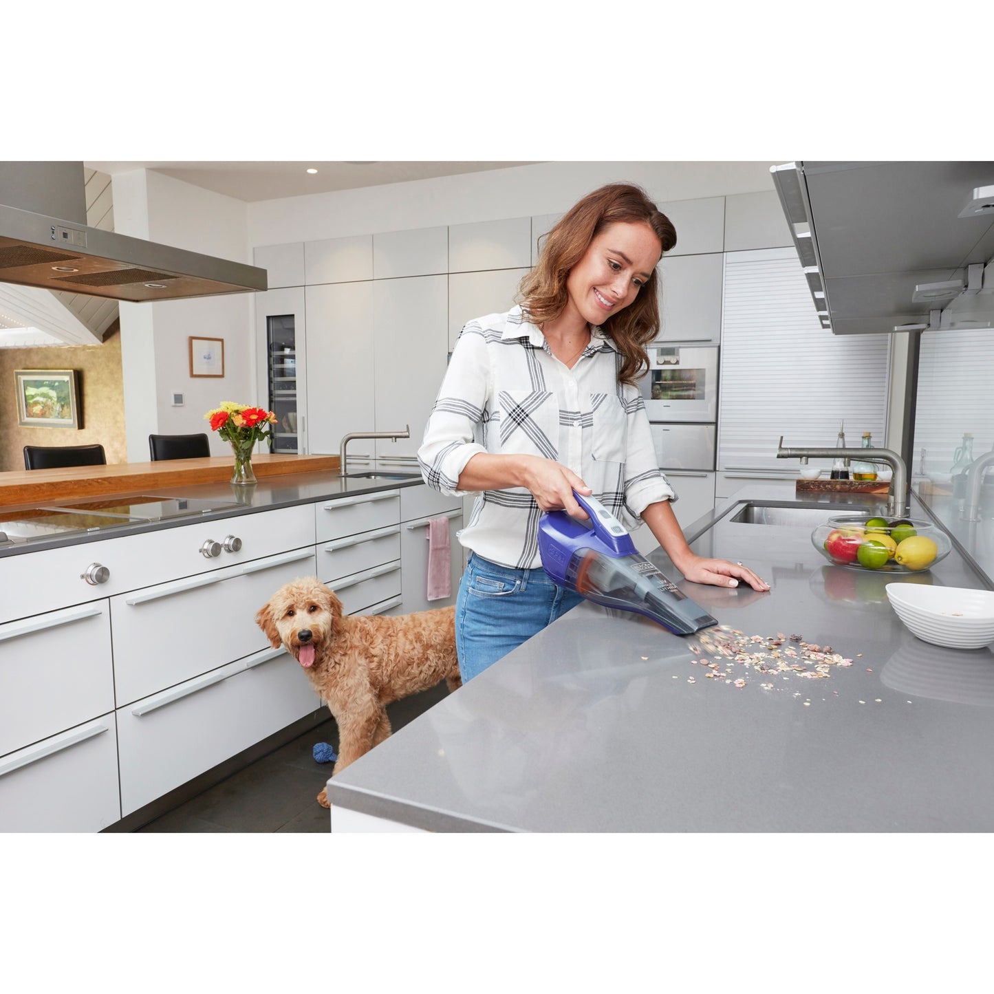 BLACK+DECKER dvb315jp 12v 1.5ah pet kruimeldief met dierenborstel handstofzuiger