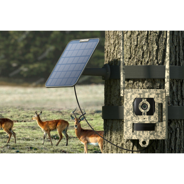 Reolink S130, 4K 8MP 4G LTE wildcamera met Live view en Starlight nachtzicht (Camouflage kleur)