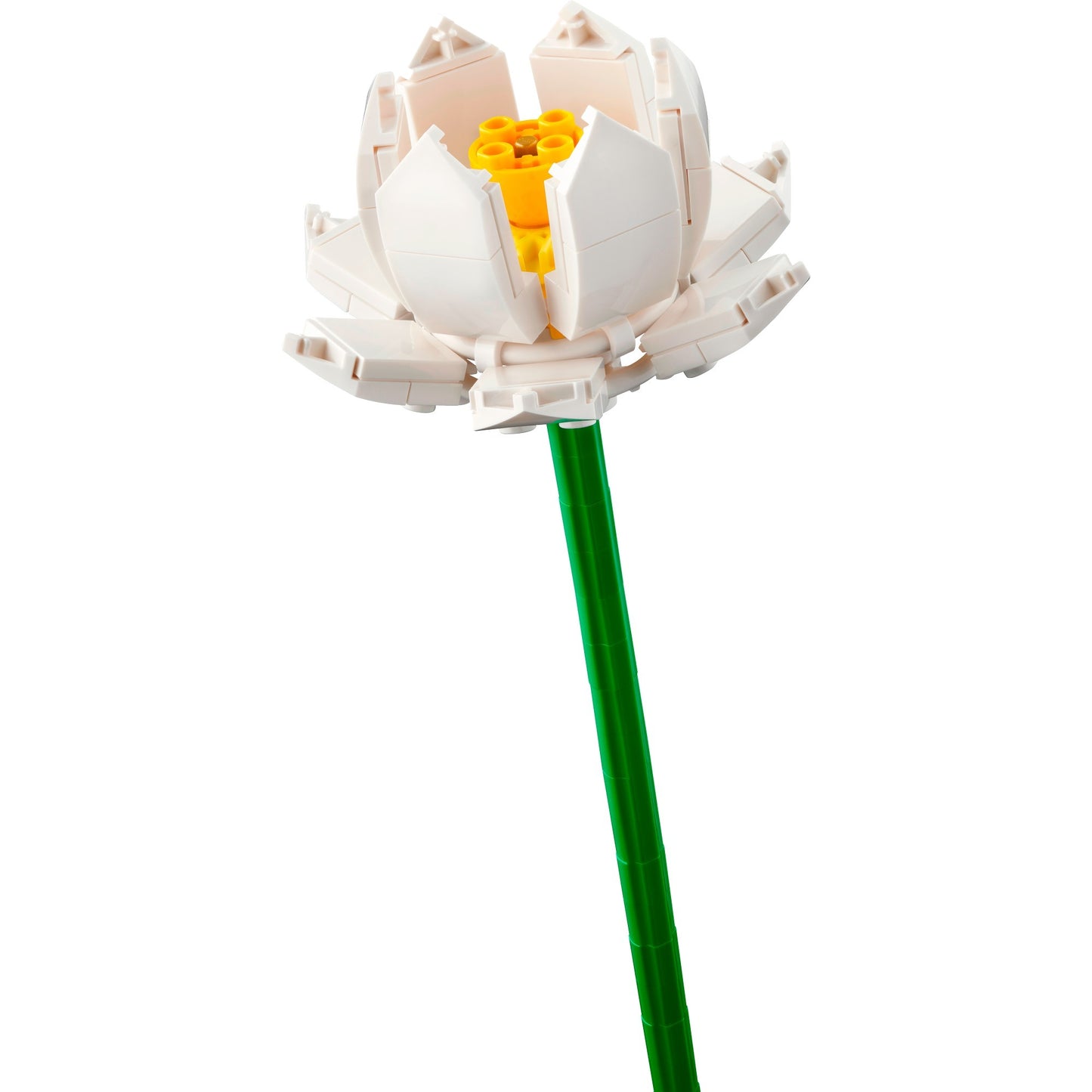 LEGO botanical collection - lotusbloemen constructiespeelgoed (40647)