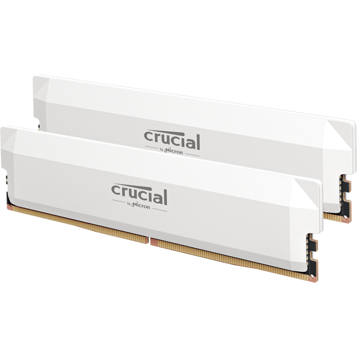 Crucial pro 32 gb ddr5-6400 (2x 16 gb) werkgeheugen (wit, cp2k16g64c38u5w, xmp 3.0, expo)