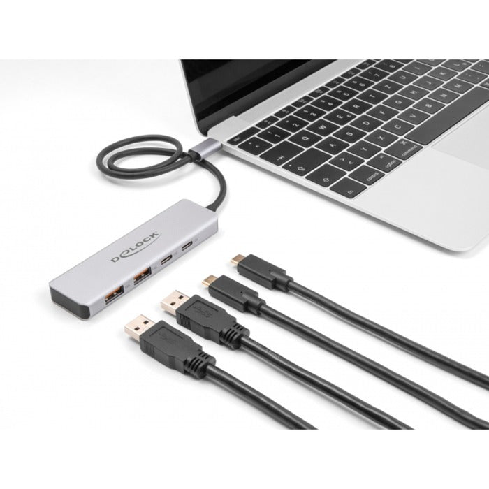 DeLOCK usb 10 gbps usb-c hub usb-hub (grijs, 2x usb-a 3.2 (10 gbit s), 2x usb-c 3.2 (10 gbit s))