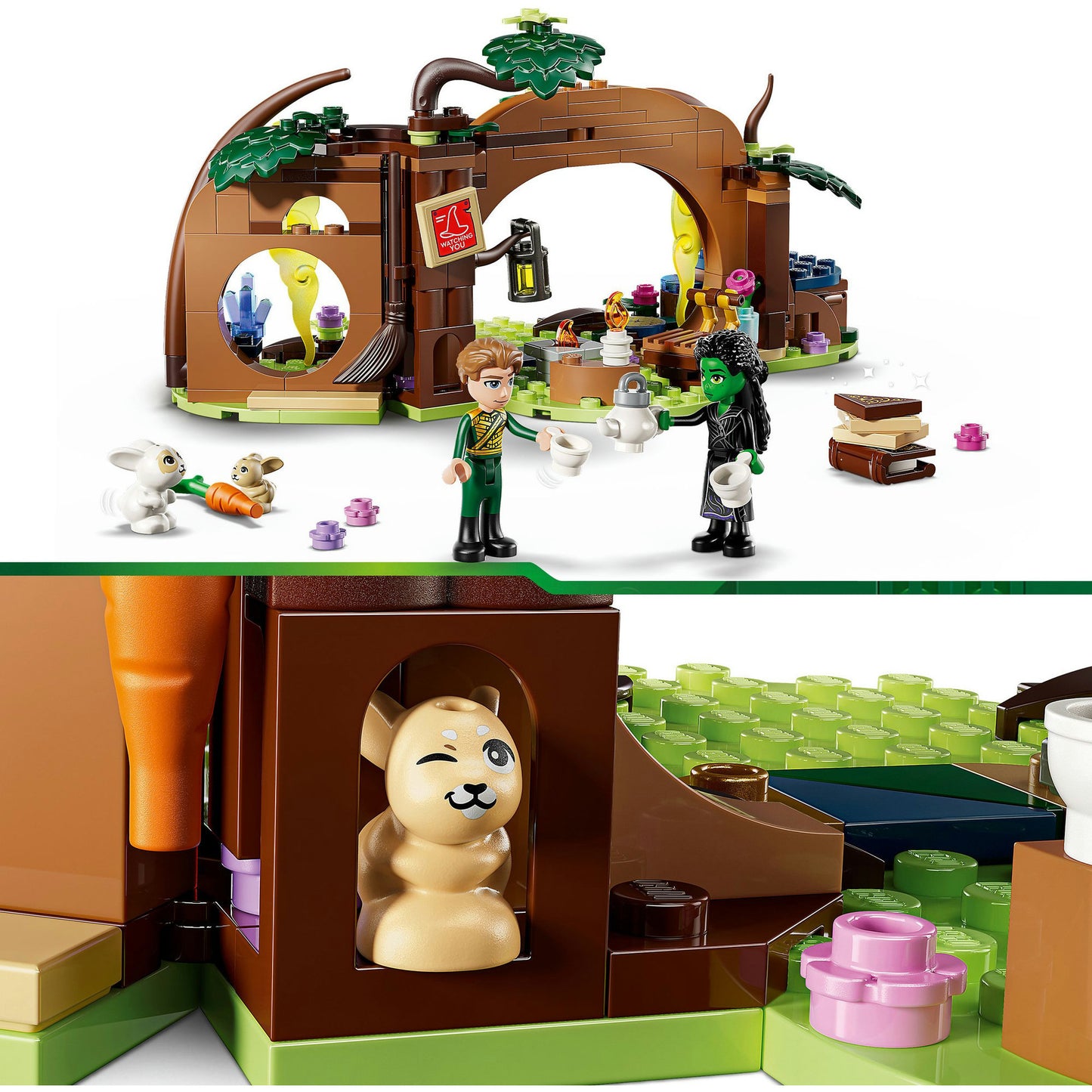 LEGO wicked - elphaba's schuilhut constructiespeelgoed (75687)