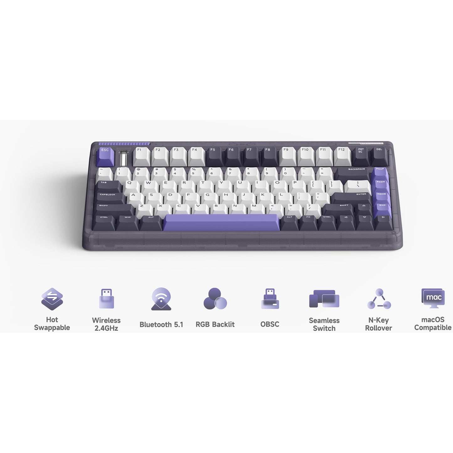 Iqunix OG80 Lavandin Wireless Mechanical Keyboard (Lavendel, US lay-out (QWERTY), Cherry MX Brown, 80% (TKL), Hot-swappable, PBT, 2.4GHz | Bluetooth 5.1 | USB-C)
