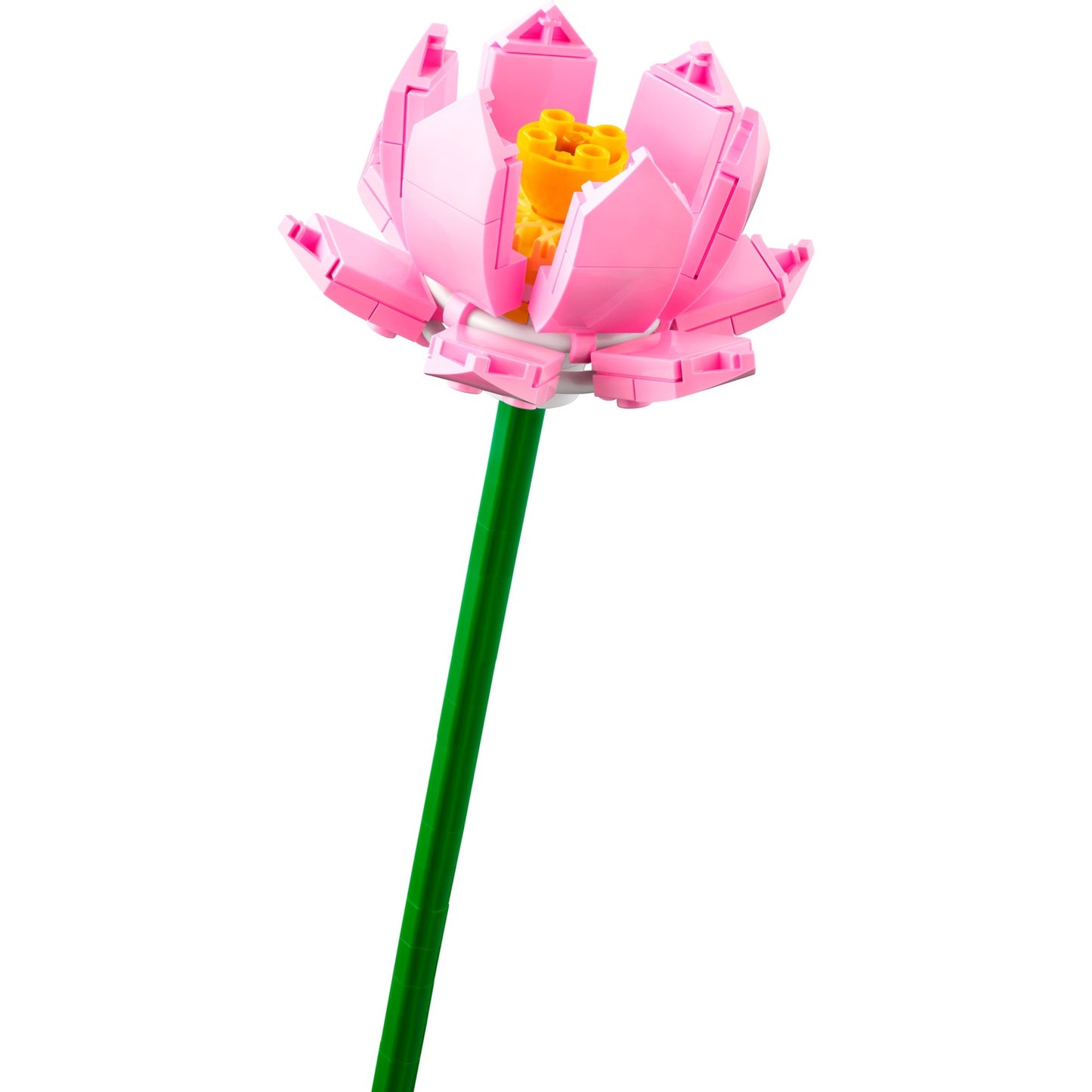 LEGO botanical collection - lotusbloemen constructiespeelgoed (40647)