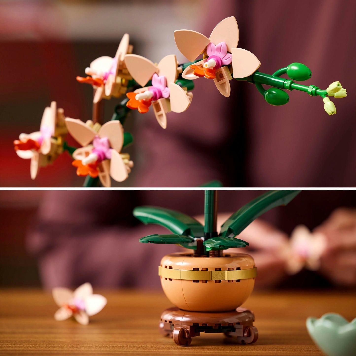 LEGO botanical collection - miniorchidee constructiespeelgoed (10343)