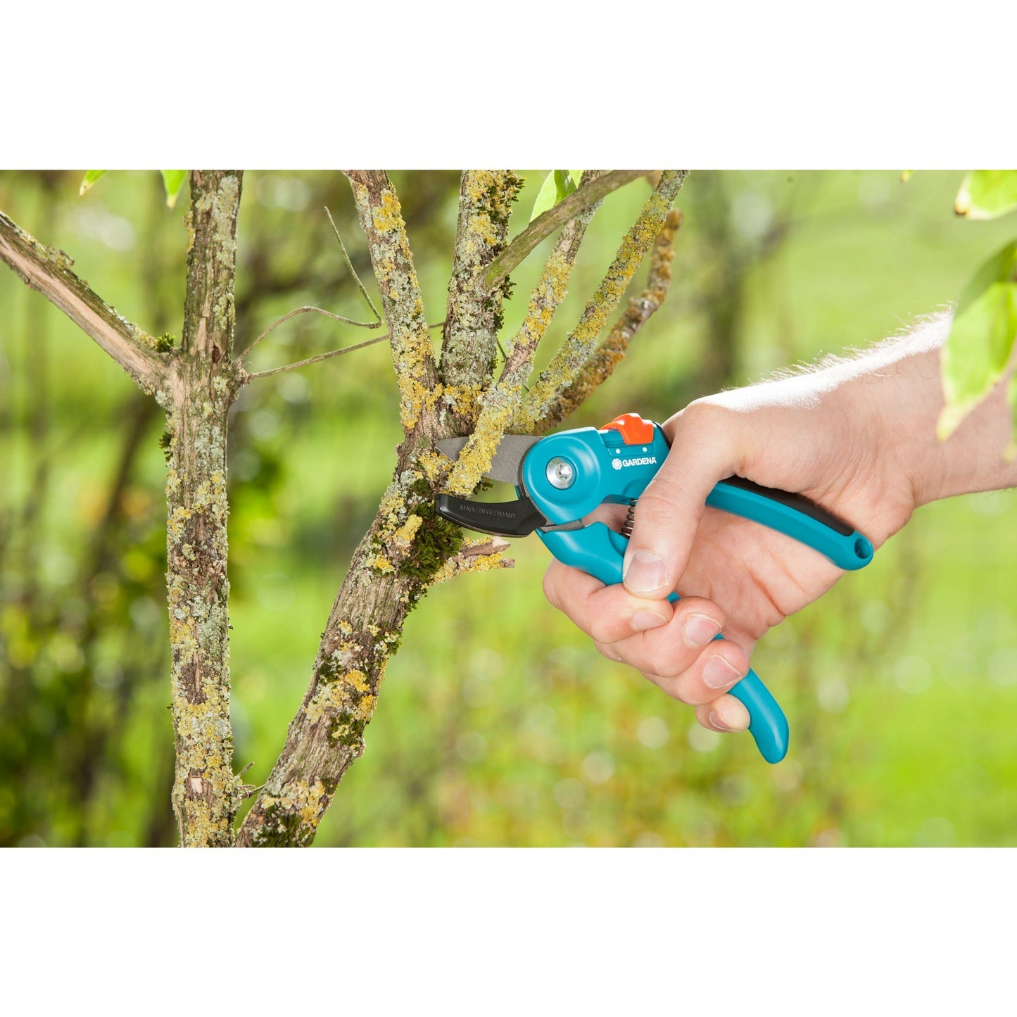 GARDENA classic snoeischaar a s (turquoise, 8855-20)