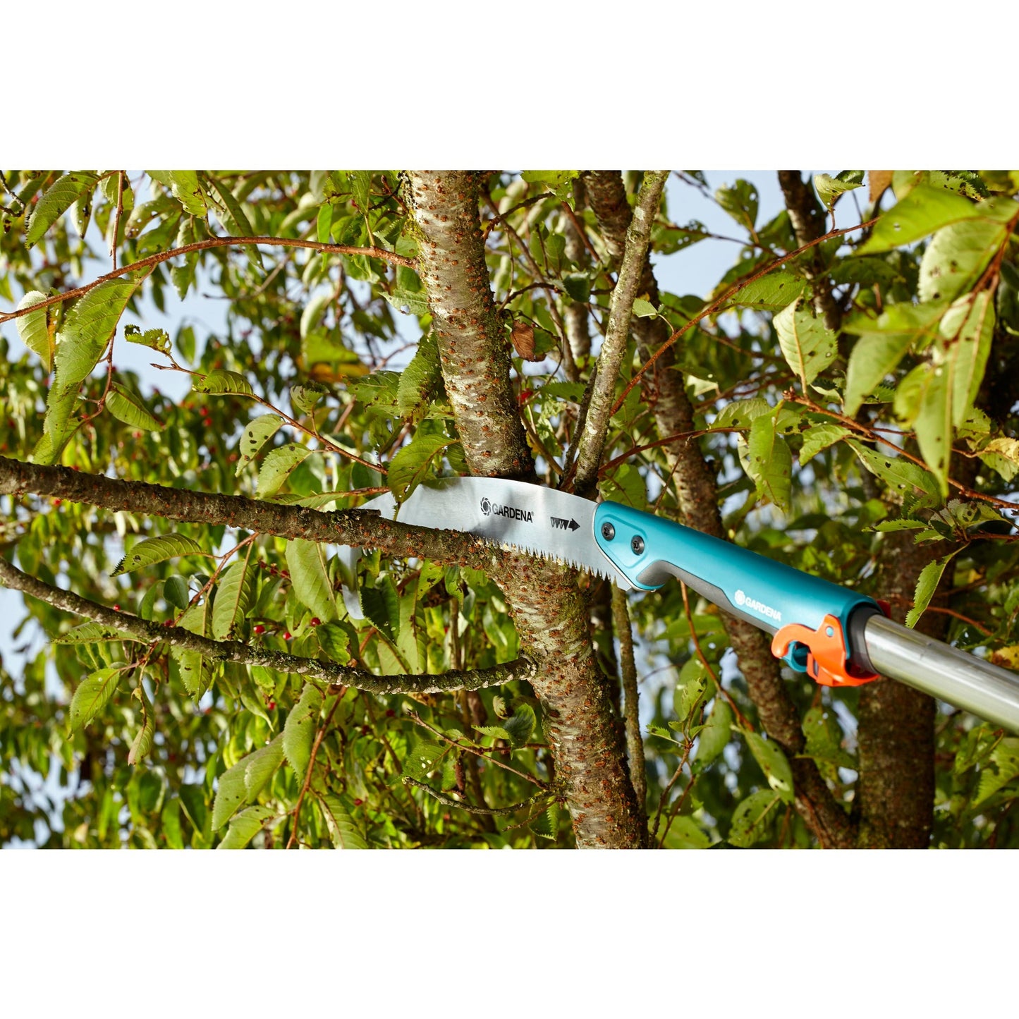 GARDENA combisystem-snoeizaag 300 p gebogen (turquoise, 8739-20)