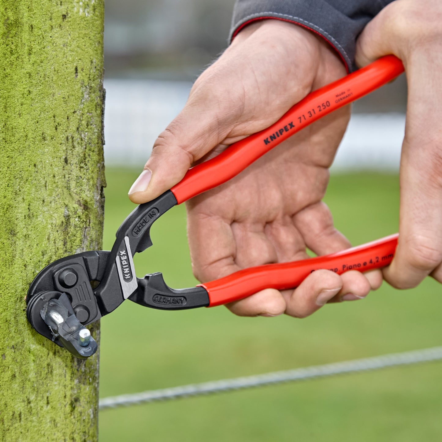 KNIPEX cobolt xl 7131250 kniptang (rood)