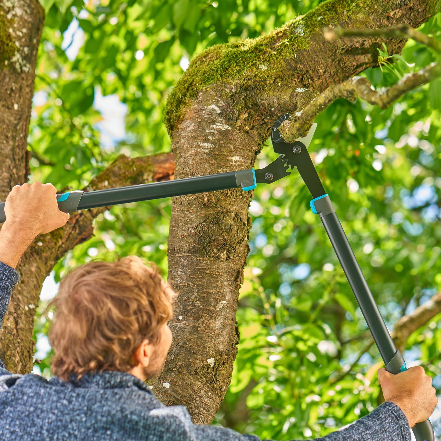 GARDENA aambeeldtakkenschaar energycut pro l, met aambeeldsnede (grijs turquoise, 75cm, voor droog hout)