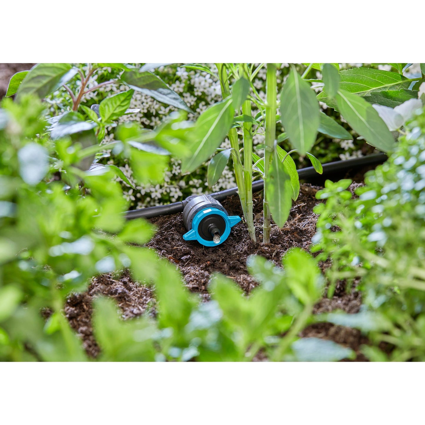 GARDENA verstelbare seriedruppelaar 1-8 l u, drukcompenserend druppelaar (zwart turquoise)