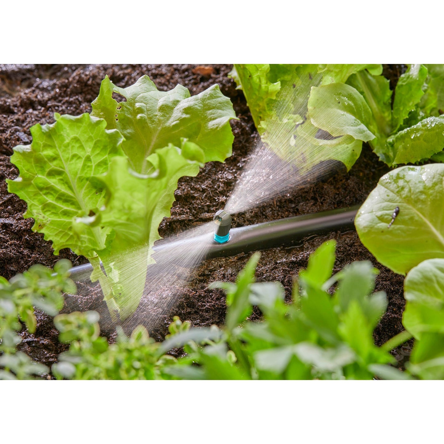 GARDENA micro strook sprinkler (zwart turquoise, 5 stuks)