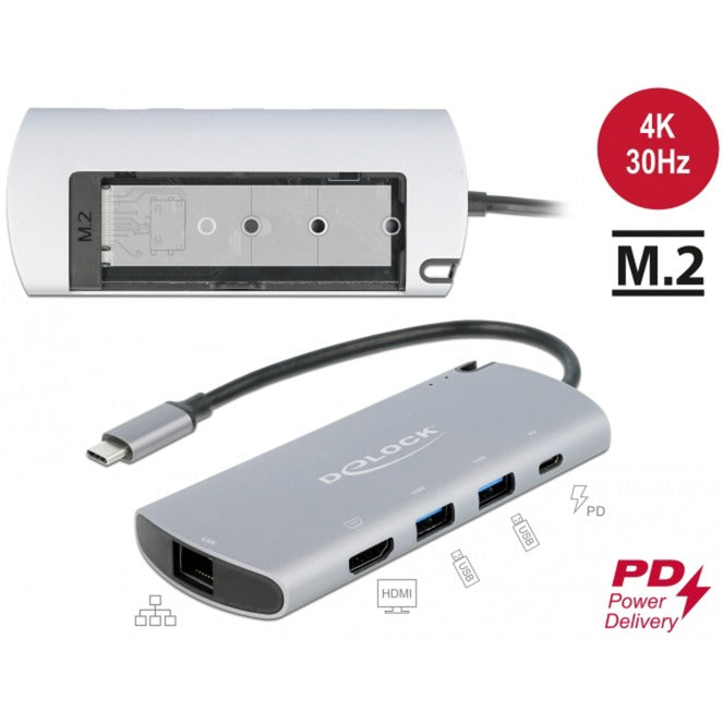 DeLOCK usb type-c docking station met m.2 slot (grijs)