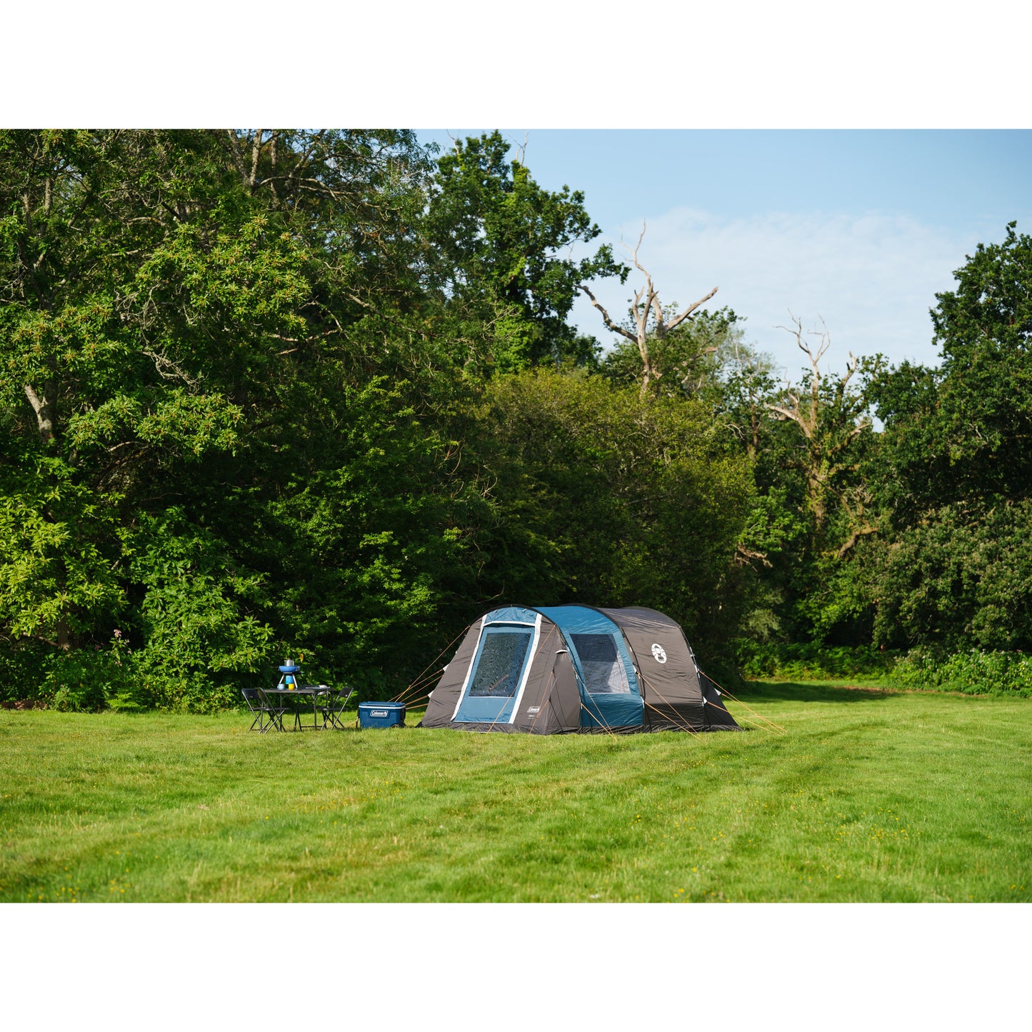 Coleman vespucci 6 tent (grijs blauw)