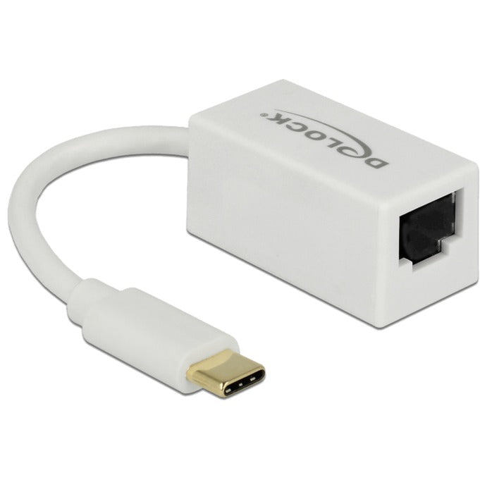 DeLOCK superspeed usb-c (usb 3.1 gen 1) male > gigabit lan 10 100 1000 mbps compact adapter (wit, 0,135 meter)