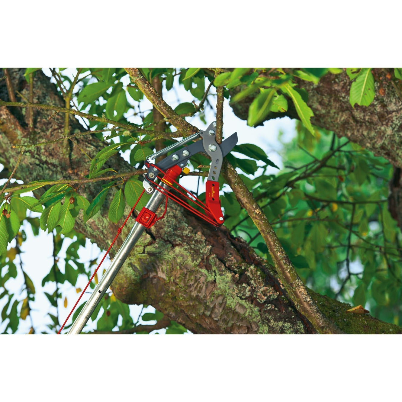 WOLF-Garten multi-star boomschaar vario rc-vm (rood)