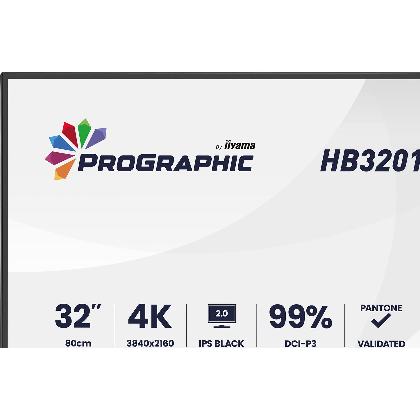Iiyama prographic hb3201uhsnp-b1 31.5 4k uhd monitor (zwart (mat), hdmi, displayport, usb-c, audio)