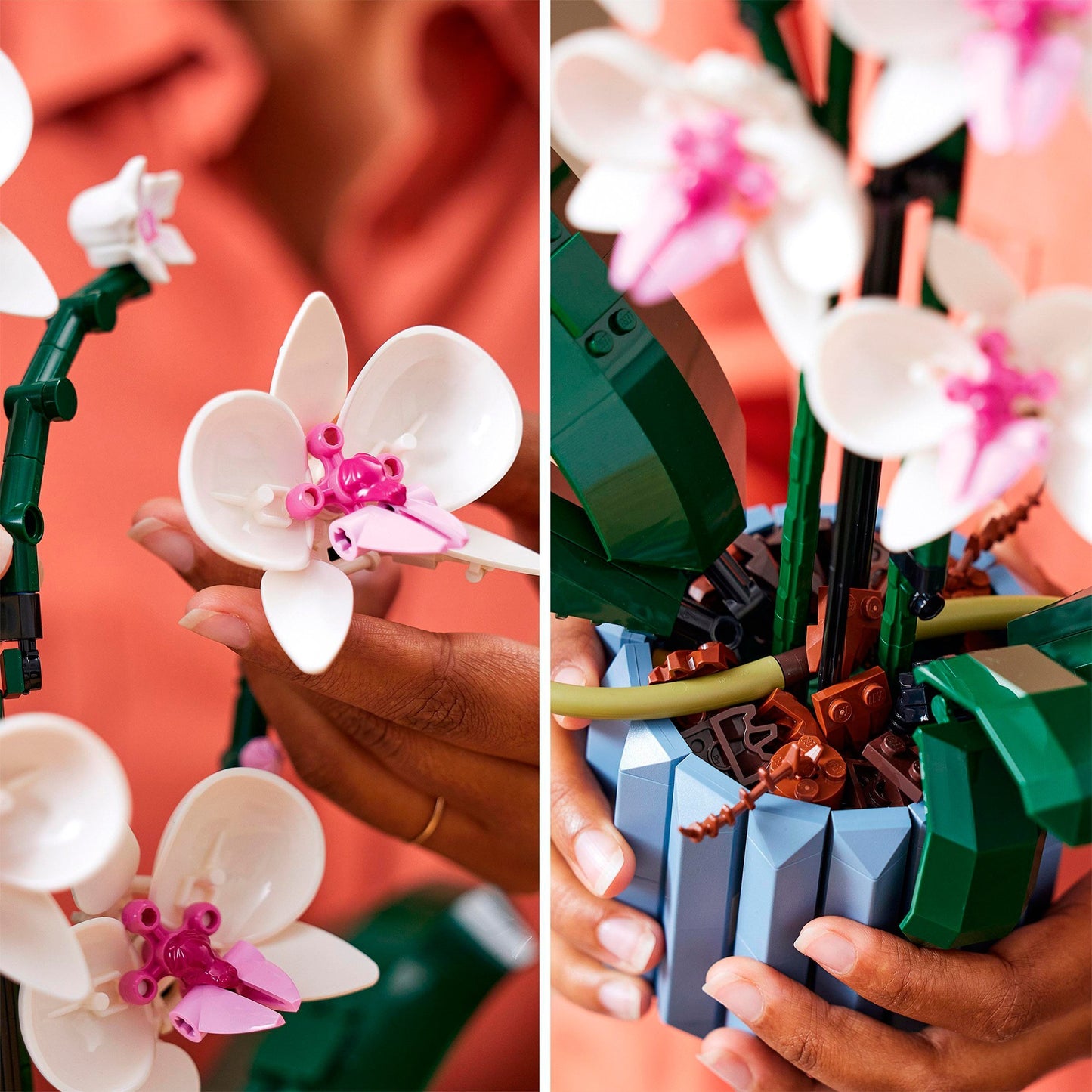 LEGO icons 10311 orchidee