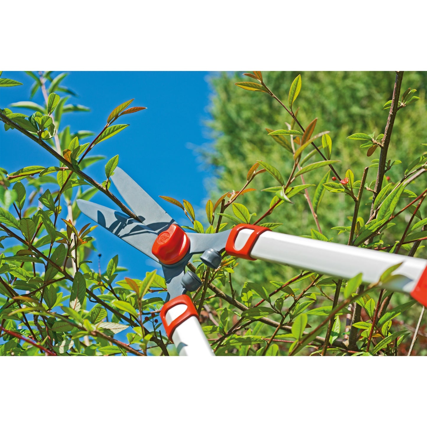WOLF-Garten telescoop hs 1000 t heggenschaar (rood geel)