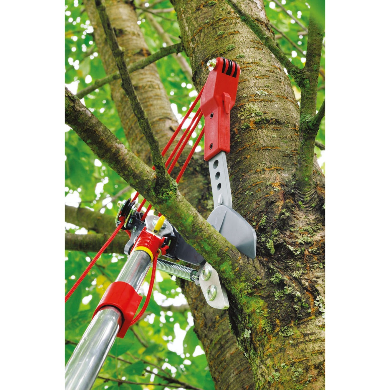 WOLF-Garten multi-star boomschaar vario rc-vm (rood)