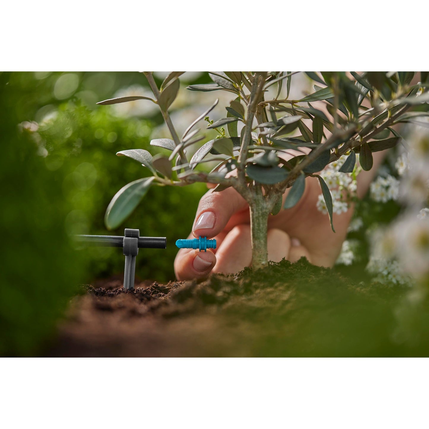 GARDENA einddruppelaar 2 l u druppelaar (turquoise, 25 stuks)